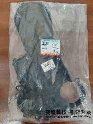   . G21A  PM40004504